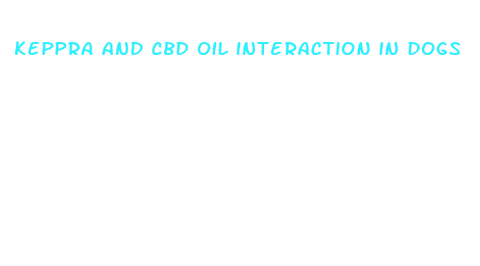 keppra and cbd oil interaction in dogs