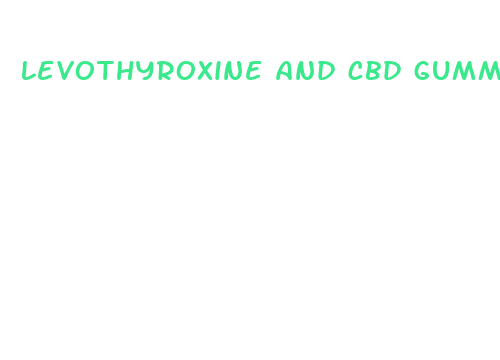 levothyroxine and cbd gummies