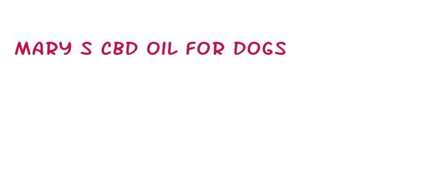 mary s cbd oil for dogs