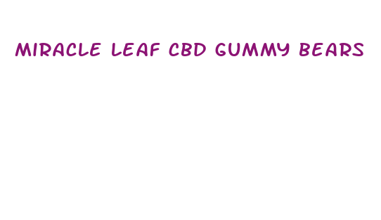 miracle leaf cbd gummy bears