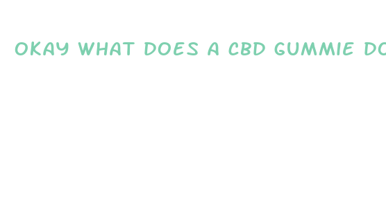 okay what does a cbd gummie do