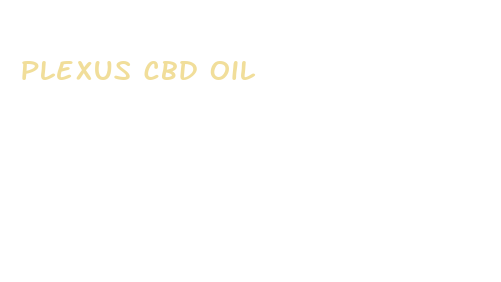 plexus cbd oil