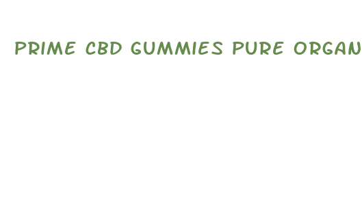 prime cbd gummies pure organic hemp extract