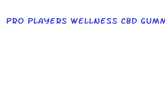 pro players wellness cbd gummies reviews