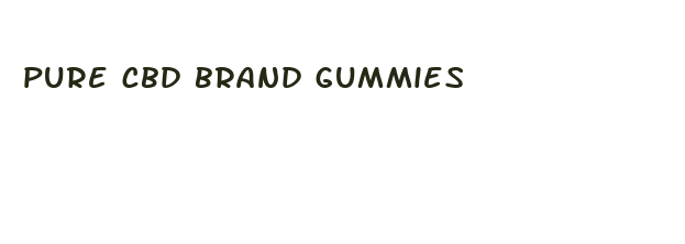 pure cbd brand gummies