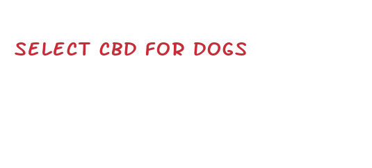 select cbd for dogs