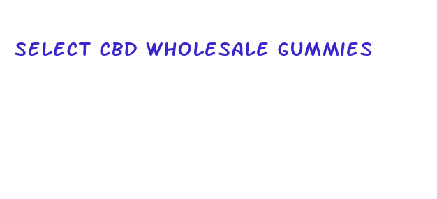 select cbd wholesale gummies