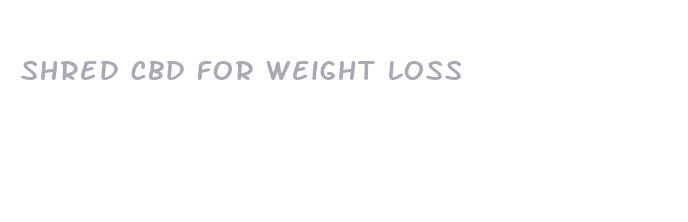 shred cbd for weight loss