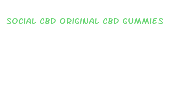 social cbd original cbd gummies