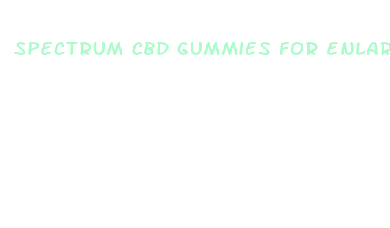 spectrum cbd gummies for enlargement