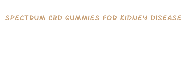 spectrum cbd gummies for kidney disease