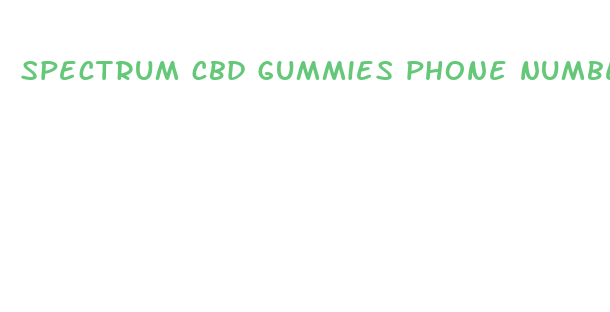 spectrum cbd gummies phone number