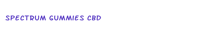 spectrum gummies cbd