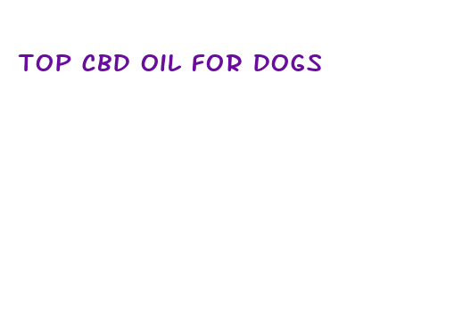 top cbd oil for dogs