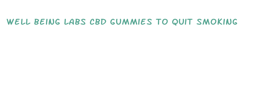 well being labs cbd gummies to quit smoking