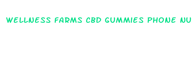 wellness farms cbd gummies phone number