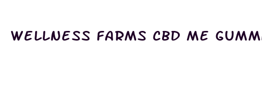 wellness farms cbd me gummies shop price