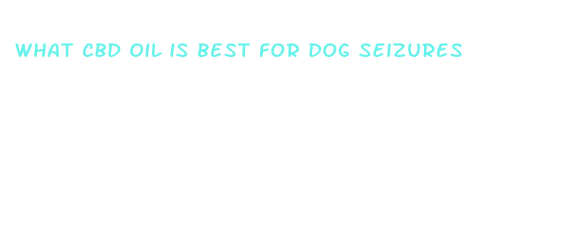 what cbd oil is best for dog seizures