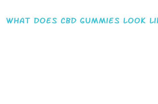 what does cbd gummies look like