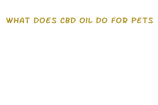 what does cbd oil do for pets