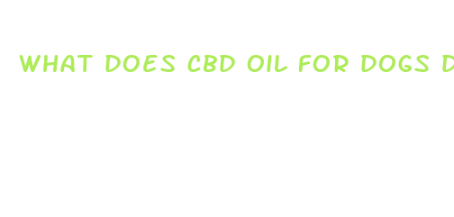 what does cbd oil for dogs do