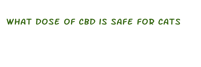 what dose of cbd is safe for cats