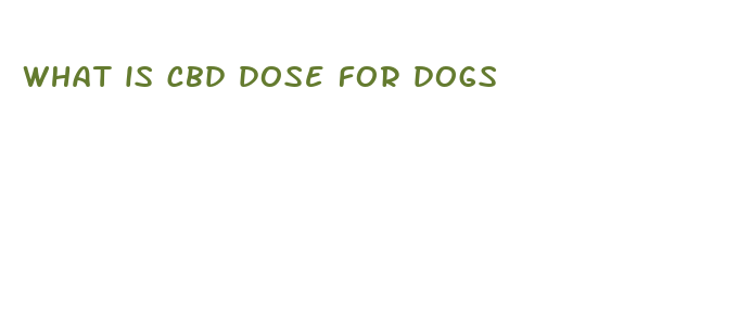 what is cbd dose for dogs