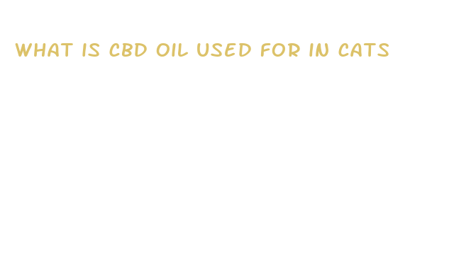 what is cbd oil used for in cats