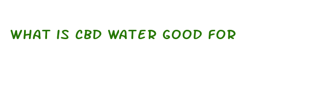 what is cbd water good for