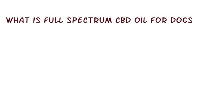 what is full spectrum cbd oil for dogs