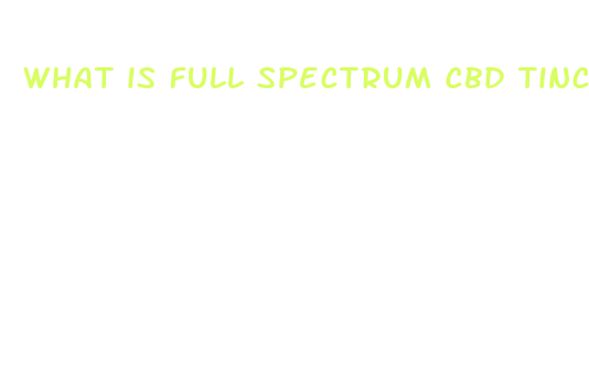 what is full spectrum cbd tincture used for