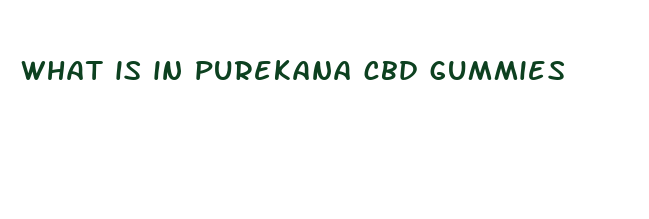 what is in purekana cbd gummies