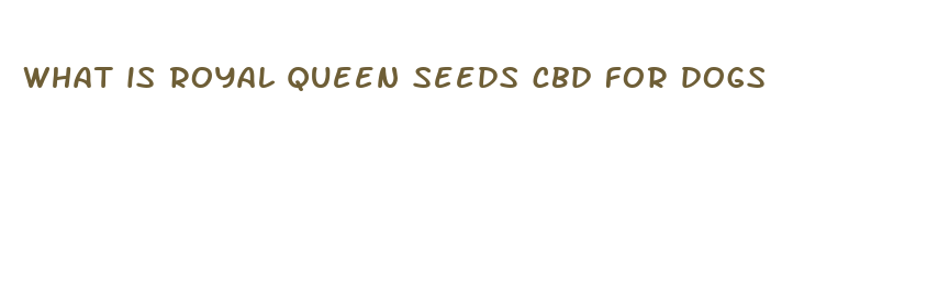 what is royal queen seeds cbd for dogs