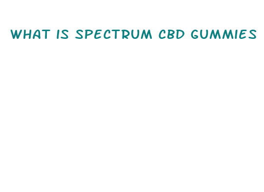 what is spectrum cbd gummies