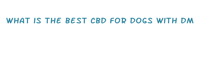 what is the best cbd for dogs with dm