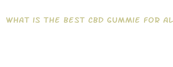 what is the best cbd gummie for all day use