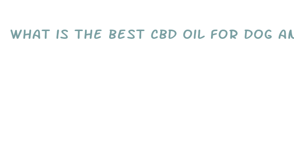 what is the best cbd oil for dog anxiety