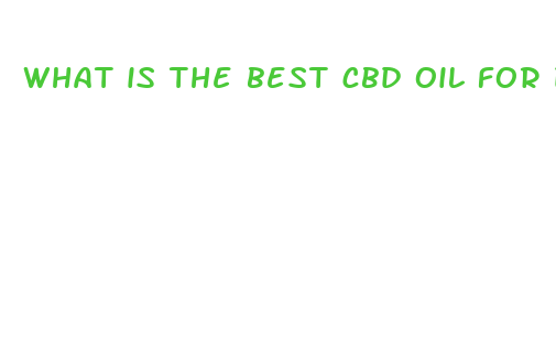 what is the best cbd oil for dogs with arthritis