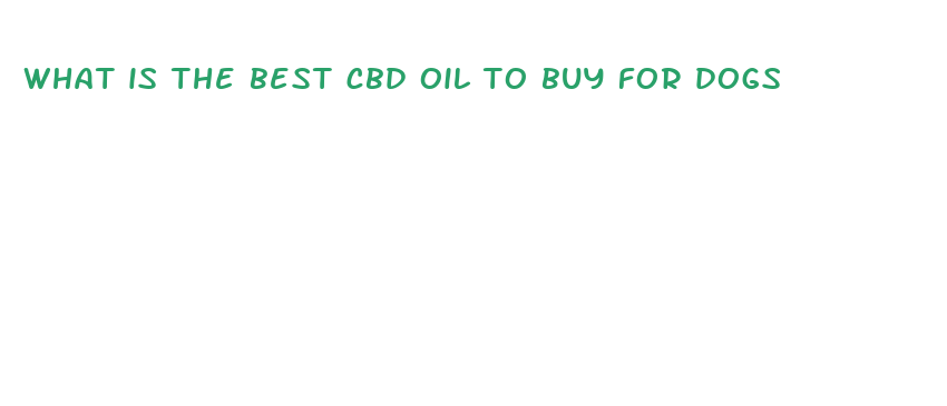 what is the best cbd oil to buy for dogs