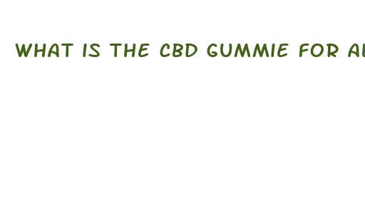 what is the cbd gummie for all day use