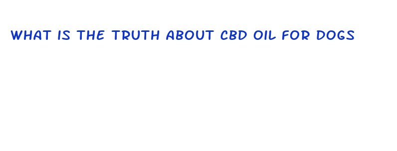 what is the truth about cbd oil for dogs