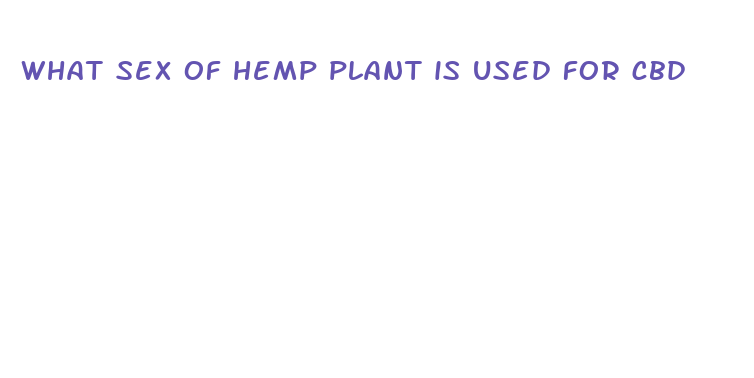 what sex of hemp plant is used for cbd