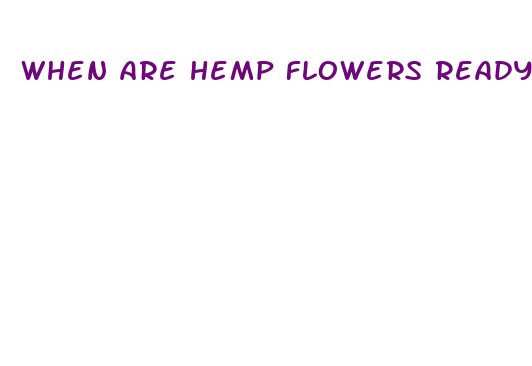 when are hemp flowers ready to harvest for cbd