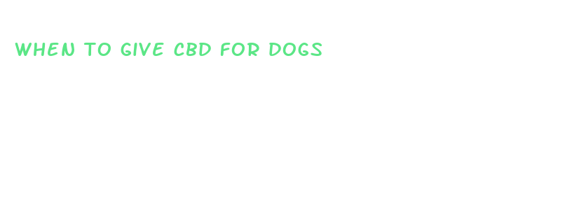 when to give cbd for dogs