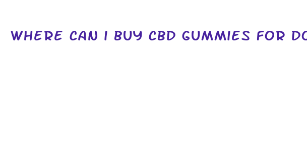 where can i buy cbd gummies for dogs