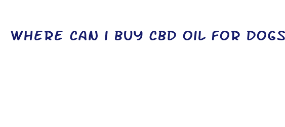 where can i buy cbd oil for dogs