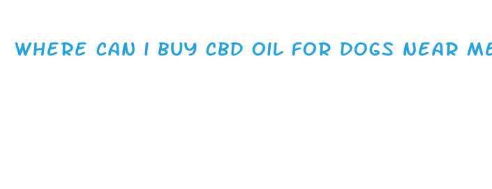 where can i buy cbd oil for dogs near me