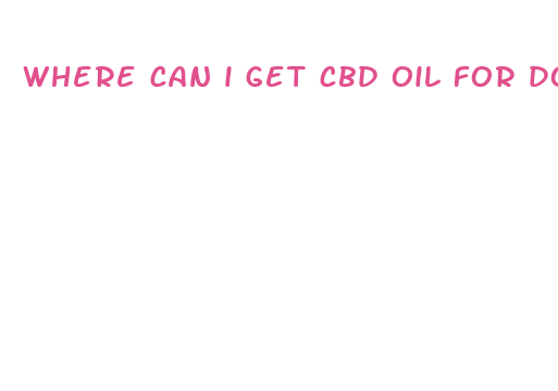 where can i get cbd oil for dogs