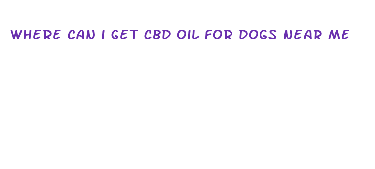 where can i get cbd oil for dogs near me