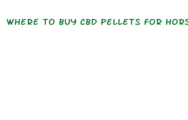 where to buy cbd pellets for horses